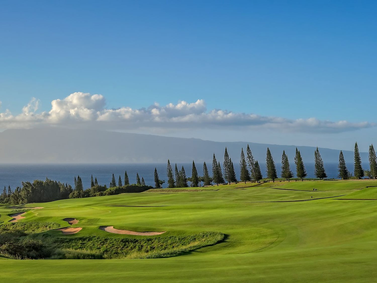 Ritz Kapalua Plantation Course