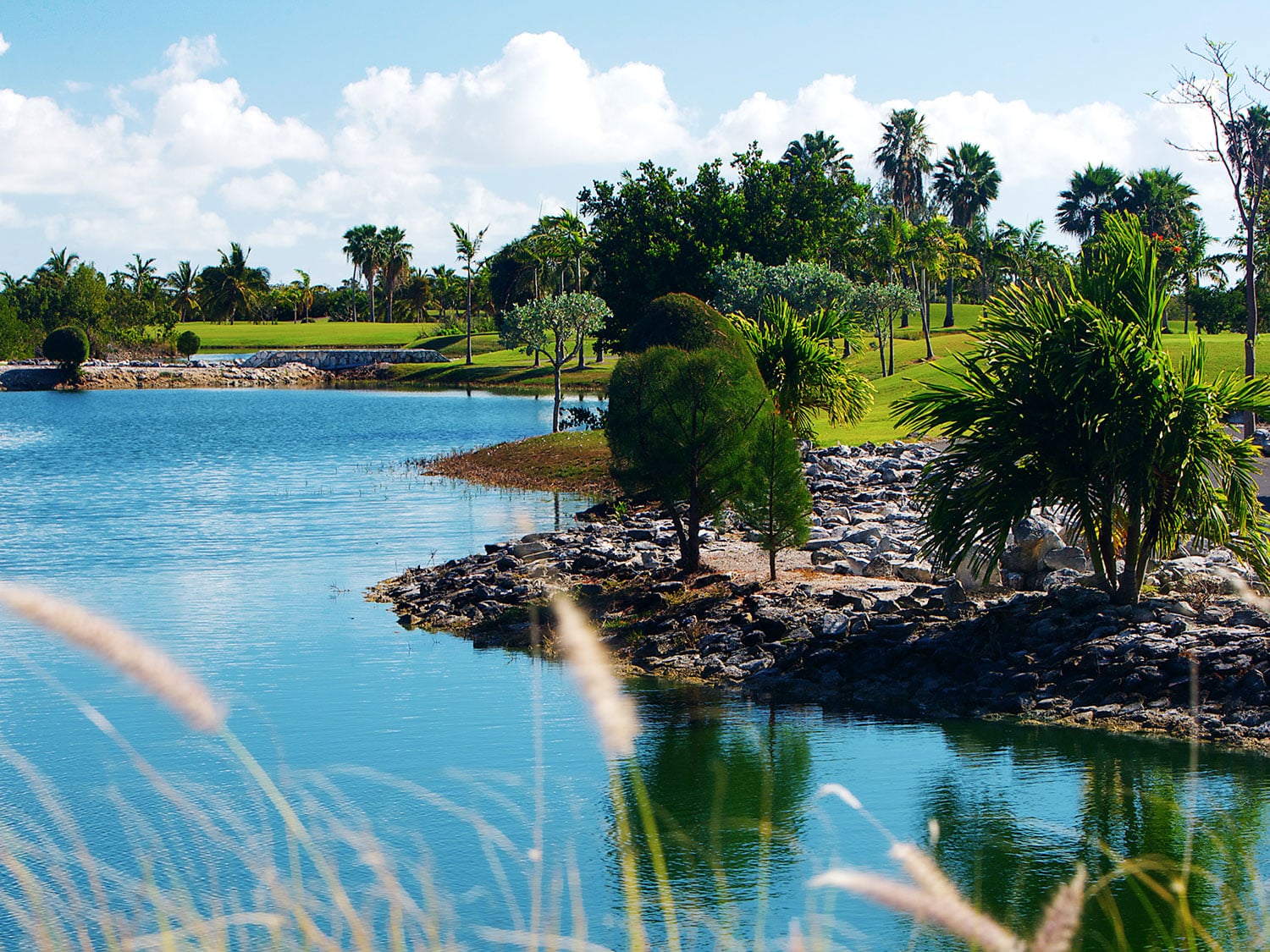 Hole 4 at Royal Turks and Caicos Golf Club is surrounded by beautiful native flora and fauna.
