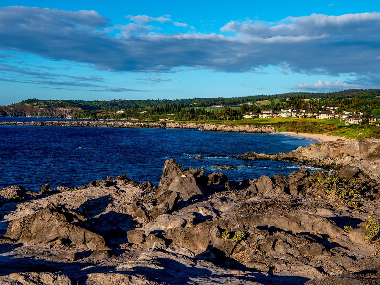 The nature trail adjacent to The Ritz-Carlton Maui, Kapalua, where guests can explore and enjoy incredible views of the nearby beach.