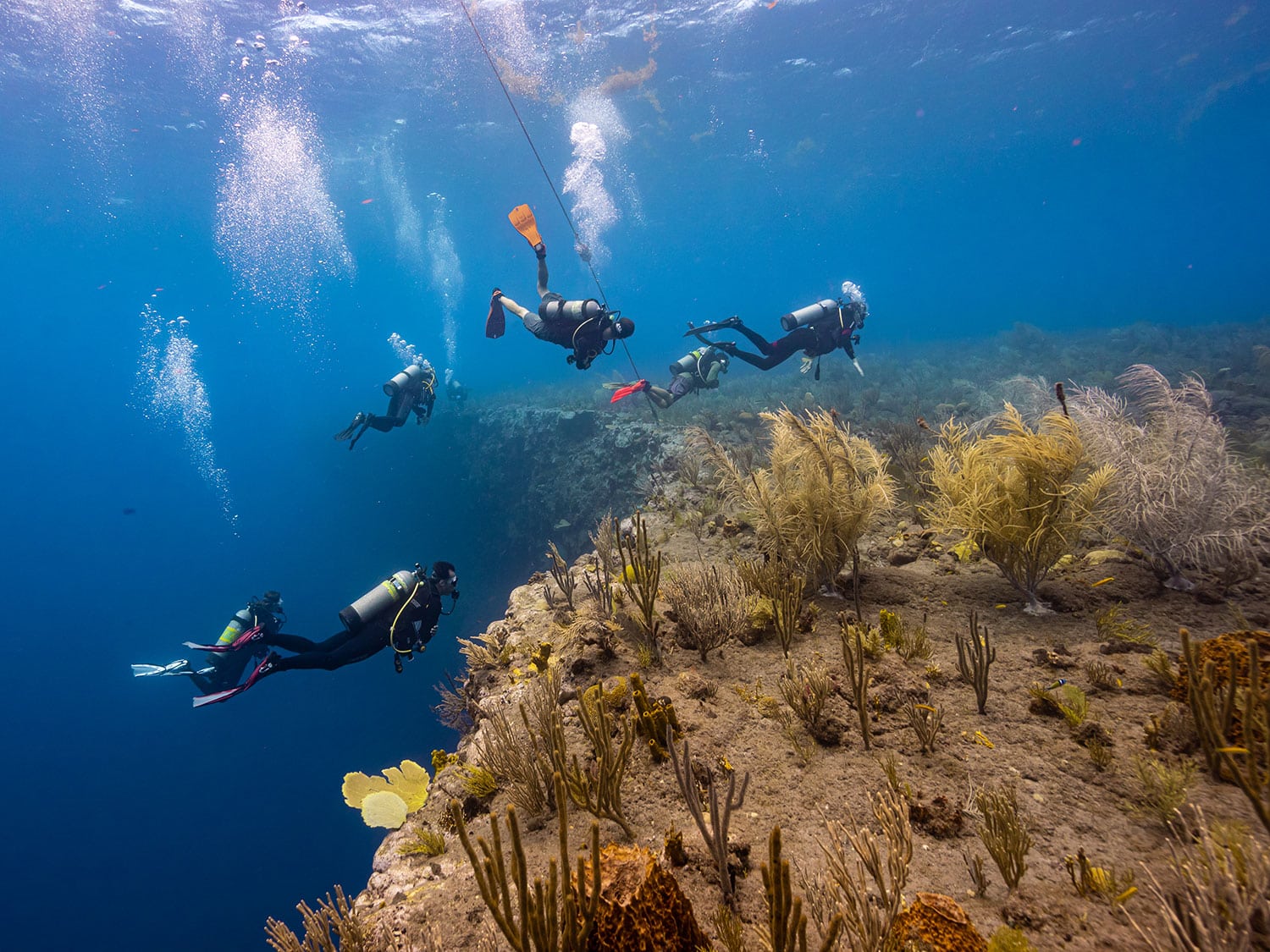 The Dutch Caribbean island of Saba has long been known as a premium destination for scuba divers.