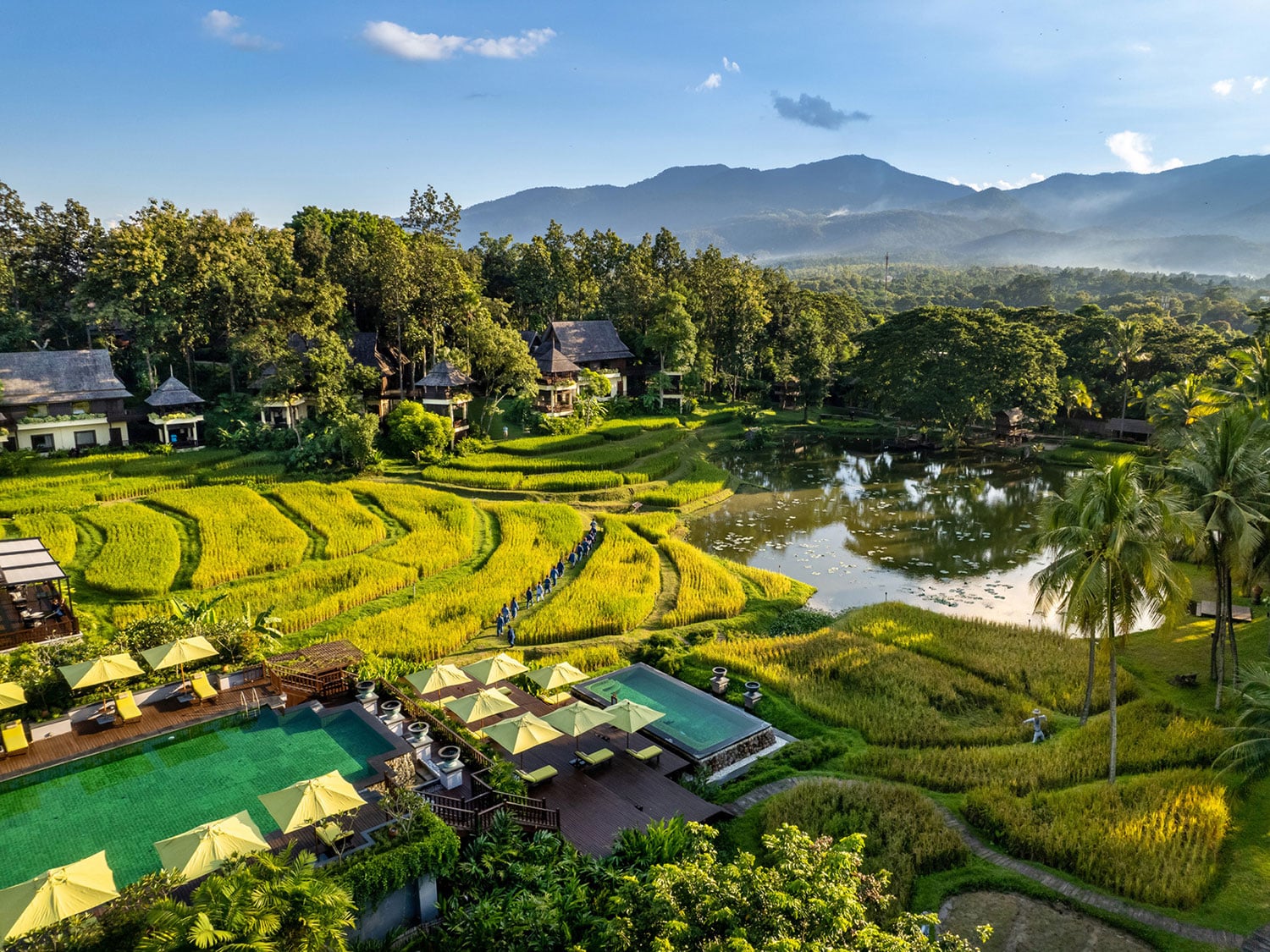 An aerial view of the emerald rice patties at the Four Seasons Resort Chiang Mai in Thailand.