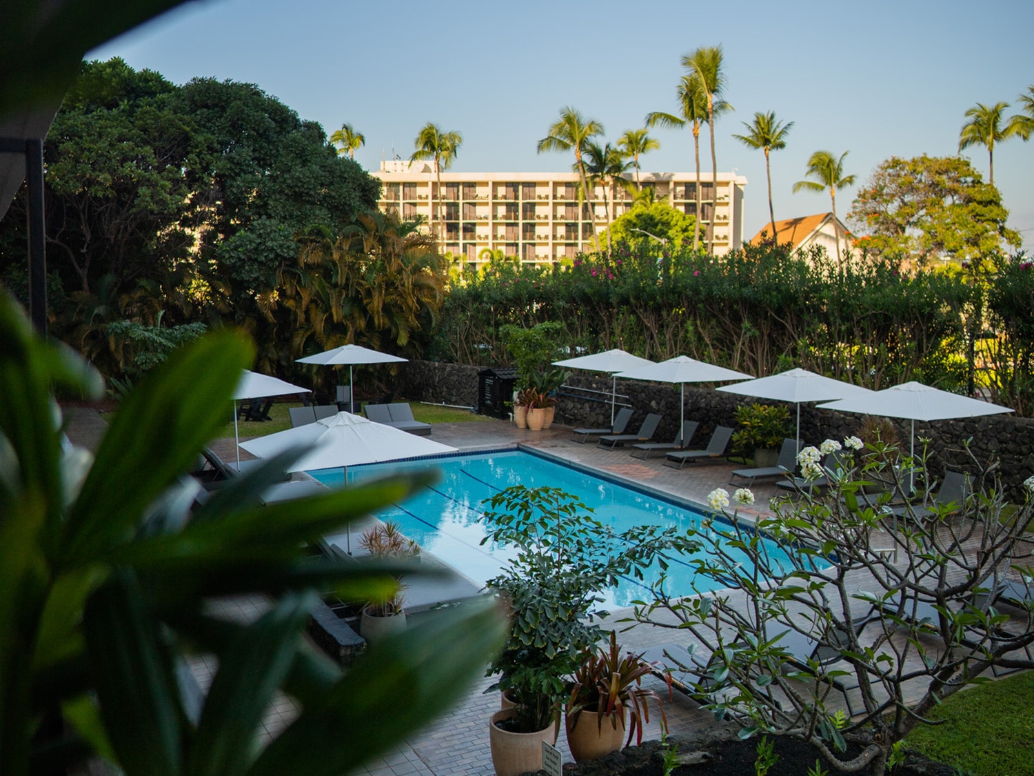 The private pool area of the Pacific 19 Kona hotel on the Big Island in Hawaii.