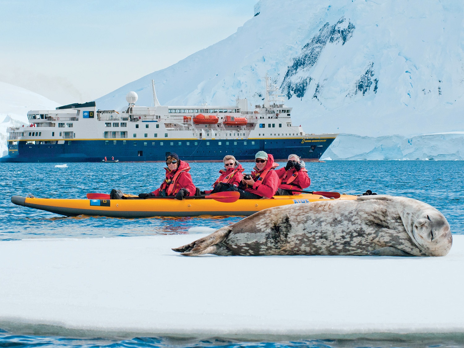 A seal rests on ice as passengers from the National Geographic Explorer pass by