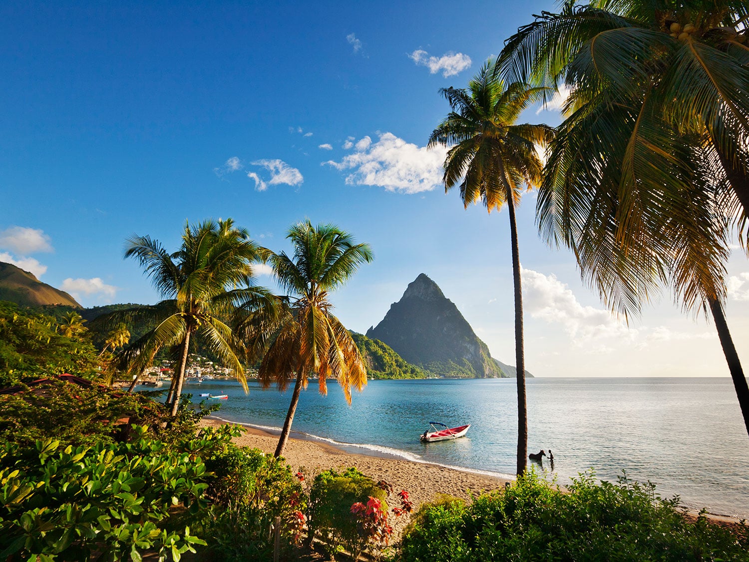 A beach in Saint Lucia's Soufrière