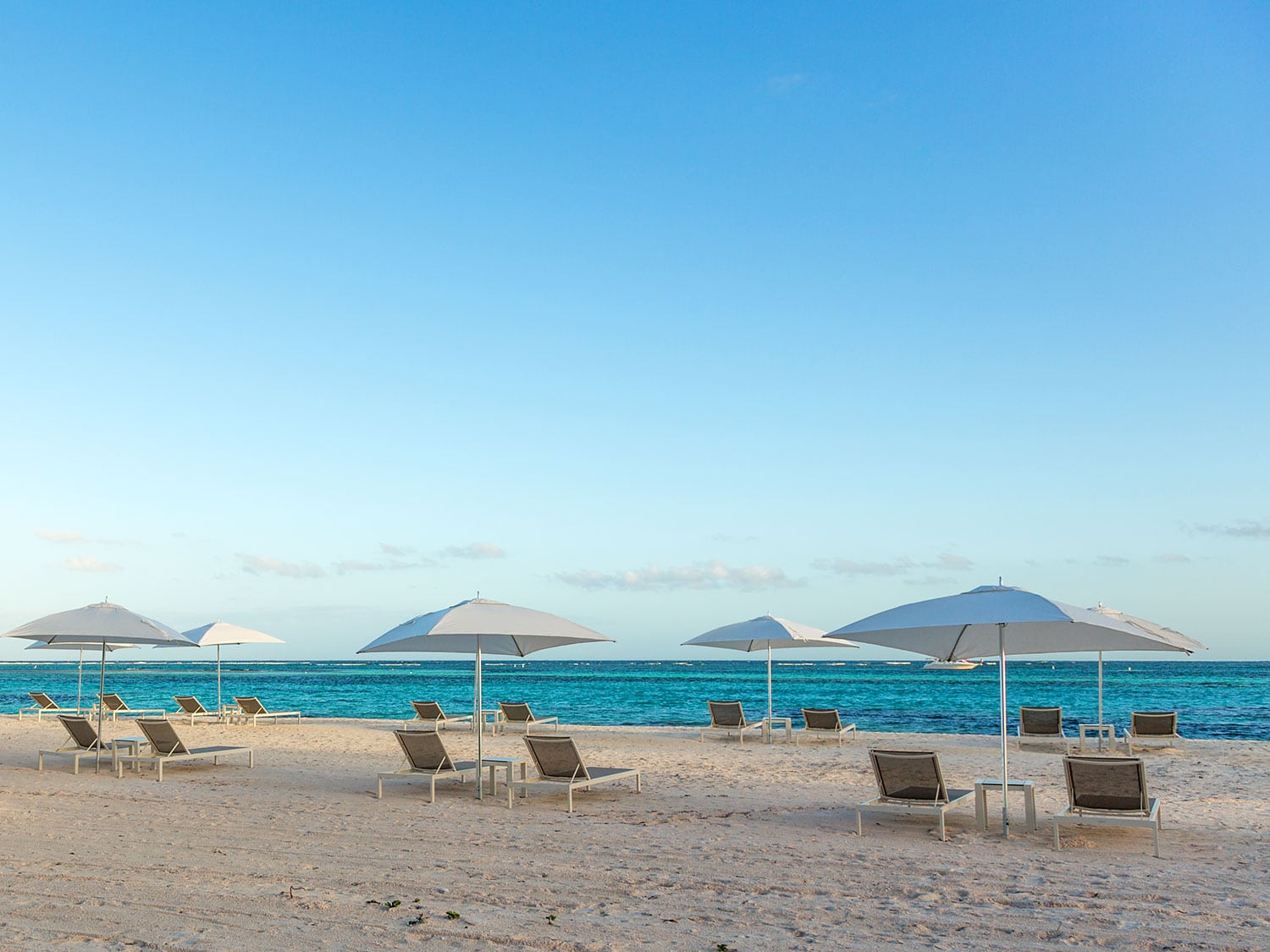 The beach at Westin Puntacana Resort & Club in the Dominican Republic